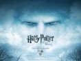 24. Harry Potter